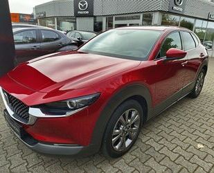 Mazda Mazda CX-30 SKYACTIV-X 2.0 M Hybrid SELECTION A18- Gebrauchtwagen