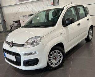 Fiat Fiat Panda 1.0 Urban **5-Türig*Klima*PDC** Gebrauchtwagen