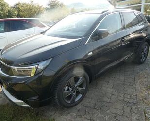 Opel Opel Grandland 1,5 D Elegance Automatik Gebrauchtwagen