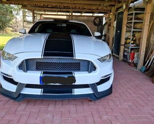 Ford Ford Mustang GT *Shelby* 5.0 V8 Gebrauchtwagen