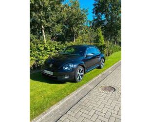 VW Volkswagen Beetle Sondermod. + 18