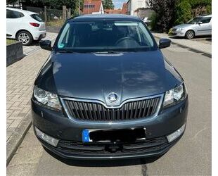 Skoda Skoda Rapid 1.6 TDI Drive Spaceback Drive Gebrauchtwagen