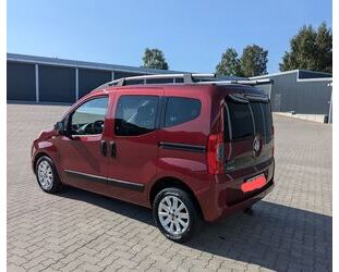 Fiat Fiat Qubo 1.3 95 PS Start&Stopp Trekking Parkremp Gebrauchtwagen