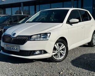 Skoda Skoda Fabia Ambition AppConnect*RFK*Klima*Tempomat Gebrauchtwagen