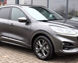 Ford Ford Kuga ST-Line-X Navi Kamera Winter Head-Up D. Gebrauchtwagen