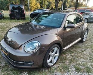 VW Volkswagen Beetle 1.2 TSI Exclusive Design Led Nav Gebrauchtwagen