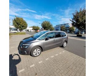 Citroen Citroën C4 SpaceTourer PureTech 130 SELEC..7-Sit Gebrauchtwagen