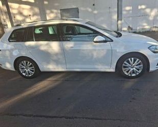 VW Volkswagen Golf 1.5 TSI ACT BMT DSG Comfortline Va Gebrauchtwagen