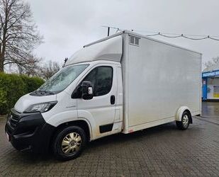 Fiat Fiat Ducato Maxi Koffer Breitbau*Erste Hand* Gebrauchtwagen