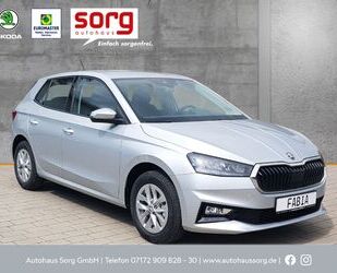 Skoda Skoda Fabia 1.0 EU6d Ambition 1,0l MPI 59 kW LED A Gebrauchtwagen