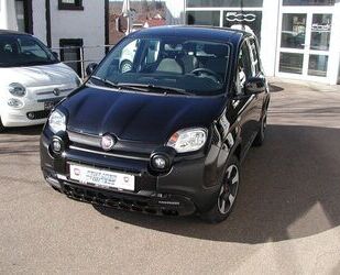 Fiat Panda Gebrauchtwagen