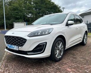 Ford Ford Kuga PHEV Vignale Leder + Head UP Gebrauchtwagen