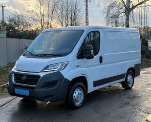 Fiat Fiat Ducato Gebrauchtwagen