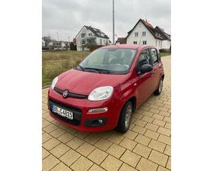 Fiat Fiat Panda Gebrauchtwagen