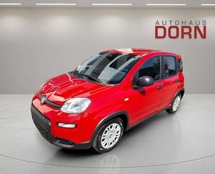 Fiat Panda Gebrauchtwagen