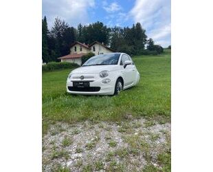 Fiat Fiat 500 Ellenator. Sehr gepflegt Gebrauchtwagen