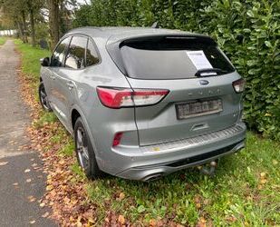 Ford Ford Kuga ST Line X SUV Hybrid Gebrauchtwagen