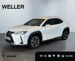 Lexus Lexus UX 250h Style Edition *Bi-LED*ACC*CAM*SHZ*Ca Gebrauchtwagen