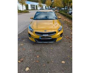 Kia Kia XCeed 1.5 T-GDI 7DCT Spring Edition Gebrauchtwagen