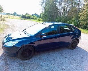 Ford Ford Focus 1,6 Concept Gebrauchtwagen