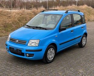 Fiat Fiat Panda 1.2 8V Dynamic, Allwetterreifen, Klima Gebrauchtwagen