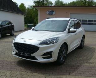 Ford Ford Kuga EcoBoost ST-Line X, Navi,Garantie,Kame Gebrauchtwagen