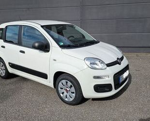 Fiat Fiat Panda 1.2 8V, Insp. , HU und Zahnriemen NEU, Gebrauchtwagen