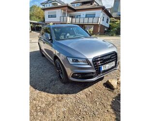 Audi Audi SQ5 3.0 TFSI Gebrauchtwagen