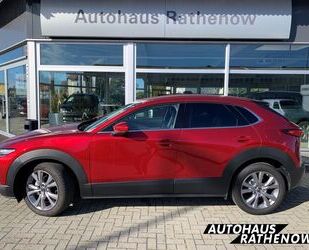 Mazda Mazda CX-30 Selection 2.0 SKYACTIV-G M Hybrid 150 Gebrauchtwagen