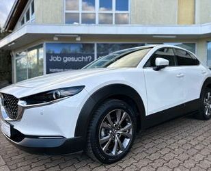 Mazda Mazda CX-30 2,0 Ltr. LED Navi Leder 360°-Kamera E Gebrauchtwagen