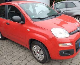 Fiat Fiat New Panda 1.2 8V EASY Gebrauchtwagen