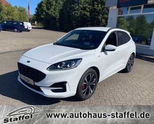 Ford Ford Kuga 1.5 Turbo ST-LineX ACC*19´´LMF*HUD Gebrauchtwagen