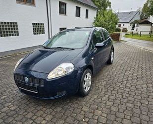 Fiat Fiat Punto 1.2 8V Active Active Gebrauchtwagen