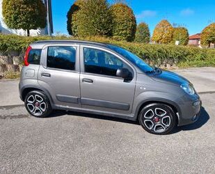 Fiat Fiat Panda 1.0 GSE Hybrid CITY LIFE Gebrauchtwagen