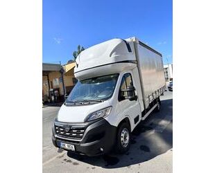 Opel Opel Movano Gebrauchtwagen