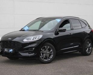 Ford Ford Kuga 1.5 ST-Line Fahrer-Assist. AHK Winter2 Gebrauchtwagen