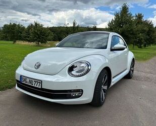 VW Volkswagen Beetle Lim. Cup TOP Zustand TOP Ausstat Gebrauchtwagen