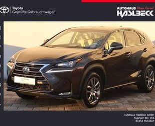 Lexus Lexus NX 300h Executive-Line Gebrauchtwagen