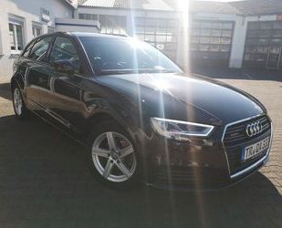 Audi Audi A3 2.0 TDI QUATTRO Stand- Sitzheizung LED uvm Gebrauchtwagen