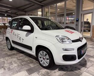 Fiat Fiat Panda 1.2, Klima, El. Fensterheber Gebrauchtwagen