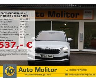 Skoda Skoda Karoq Tour 4x4 2.0 TDI DSG digitales Cockpit Gebrauchtwagen