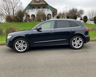 Audi Audi SQ5 3.0 TDI tiptronic quattro - Gebrauchtwagen