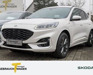 Ford Ford Kuga 2.0 EcoBlue ST LINE X ALLRAD AHK NAVI Gebrauchtwagen