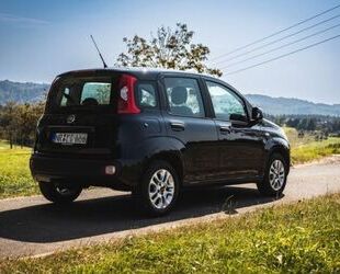 Fiat Fiat Fiat Panda 3, die Praktische Form des Fiat 50 Gebrauchtwagen