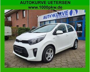 Kia Kia Picanto 1.0 Klima DAB Winterpaket 1. Hand Gebrauchtwagen