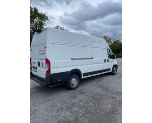 Fiat Fiat Ducato Gebrauchtwagen