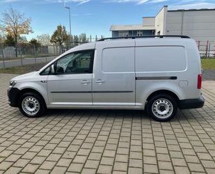 VW Volkswagen Caddy Maxi Kasten Automatik+ACC+Nav+Kli Gebrauchtwagen