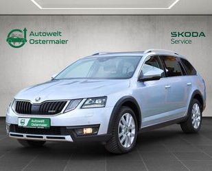 Skoda Skoda Octavia 2.0 TSI Scout 4x4 ACC*AHK*LED* Gebrauchtwagen