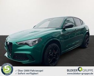 Alfa Romeo Alfa Romeo Stelvio Quadrifoglio MY24 QUADRIFOGLIO Gebrauchtwagen