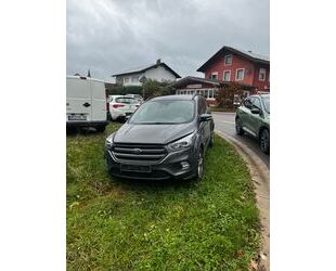 Ford Ford Kuga 2,0 TDCi 4x4 132kW ST-Line PowerShift S. Gebrauchtwagen